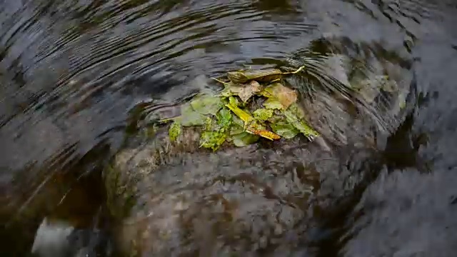 流动的水。近距离视频素材