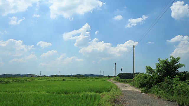 拍摄安山稻田视频素材