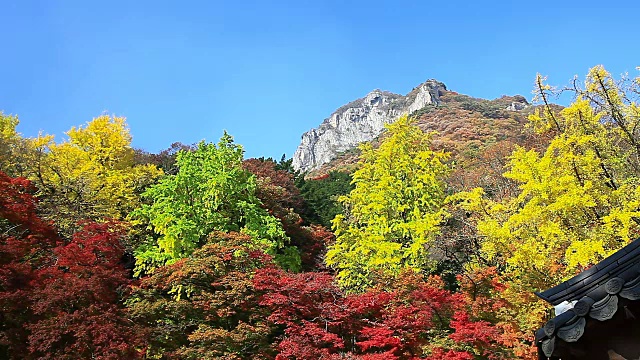 那江山的秋景视频素材