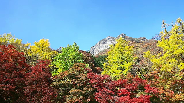 那江山的秋景视频素材