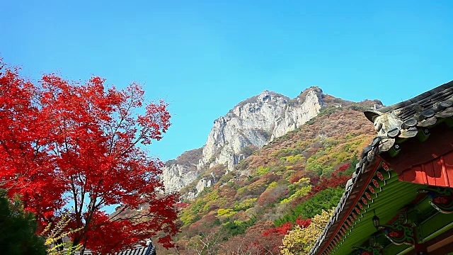 那江山的秋景视频素材