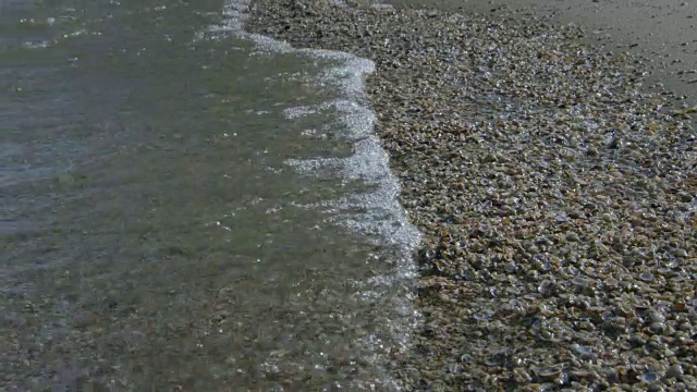 康士坦茨湖海滩水下世界视频素材