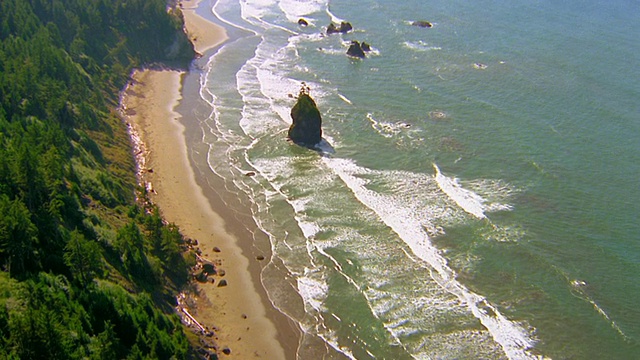 从空中俯瞰海浪翻滚到海滩和岩石景观与松树/奥林匹克半岛，华盛顿视频素材