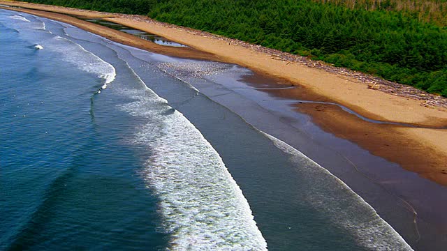 从空中俯瞰海岸线，鸟群和岩石在海洋/奥林匹克半岛，华盛顿/放大缩小视频素材