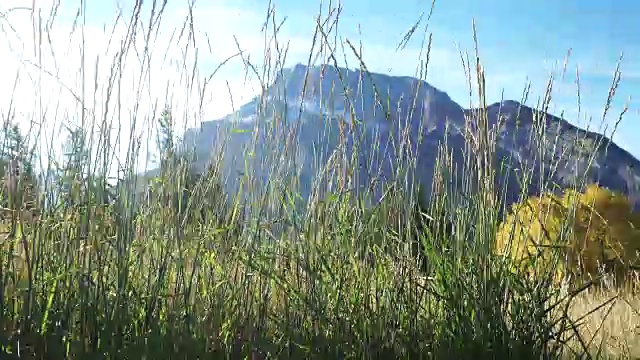 年轻女子在山区探险视频素材