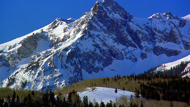 宽镜头拍摄白雪皑皑的圣胡安山与森林在前景/附近的特柳赖德，科罗拉多州视频素材