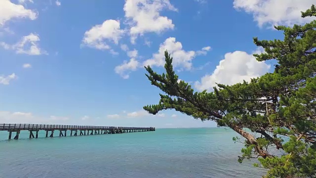 康沃利斯码头。视频素材