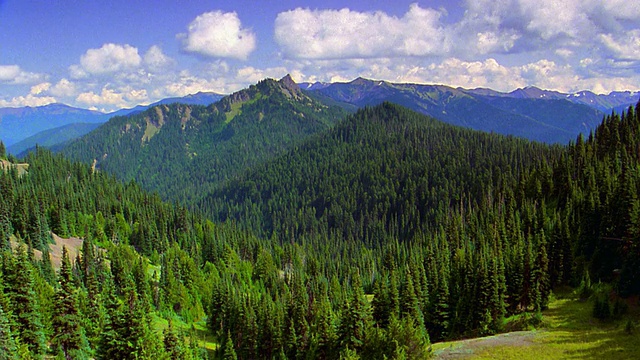 高角度广角拍摄时间推移云形成的山脉与树木覆盖的山坡在前景/奥林匹克半岛，华盛顿视频素材