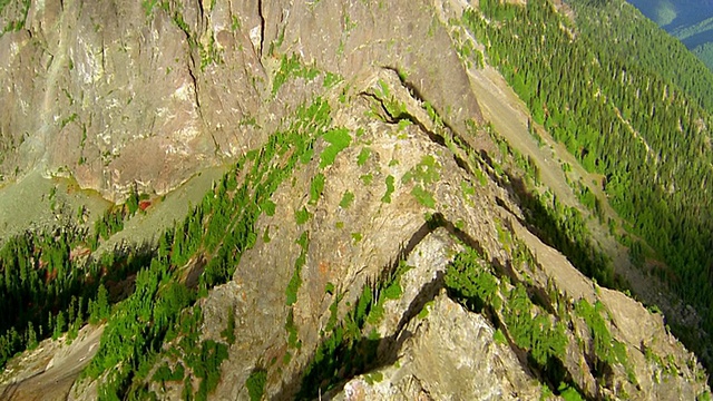 从空中俯瞰树木环绕的山顶/奥林匹克半岛，华盛顿视频素材