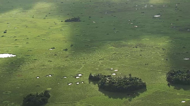 刚果:阿利马河周围草地的图形视频素材