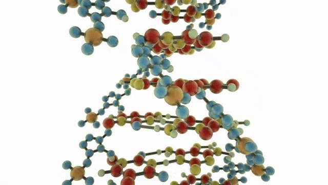 华氏DNA分子视频素材