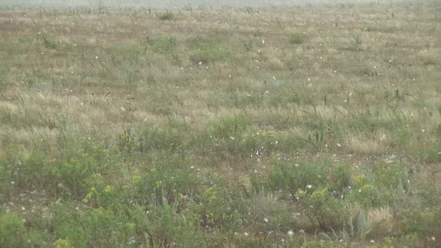 冰雹石头下降视频素材