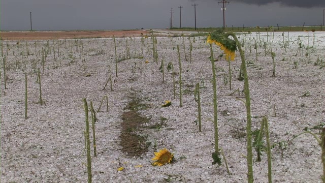 冰雹石头视频素材