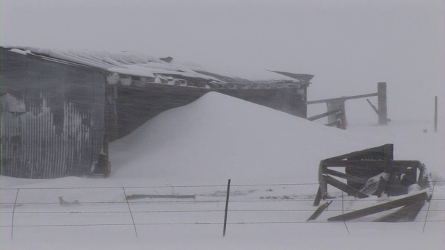 “美国科罗拉多州的暴风雪”视频素材