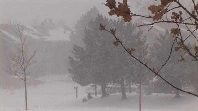 “美国科罗拉多州的暴风雪”视频素材