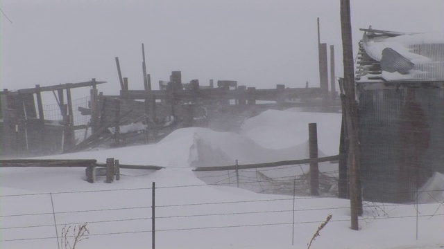 “美国科罗拉多州的暴风雪”视频素材