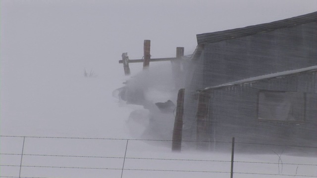 “美国科罗拉多州的暴风雪”视频素材