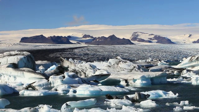 Jokulsarlon冰环礁湖视频素材