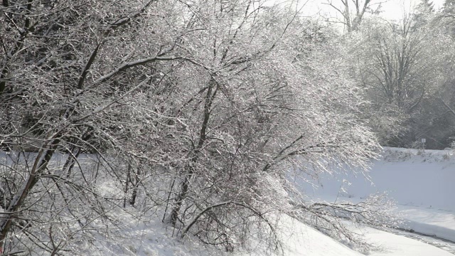 冰雪风暴之后视频素材