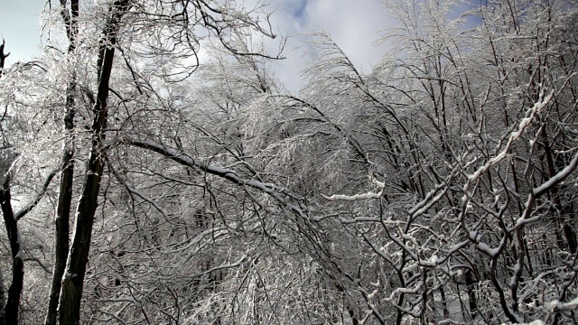 冰雪风暴之后视频素材