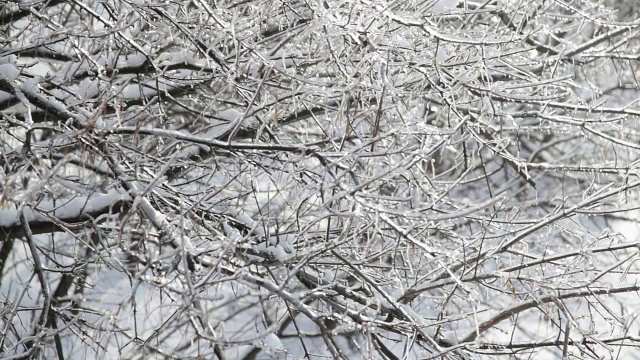 冰雪风暴之后视频素材