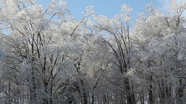 冰雪风暴之后视频素材