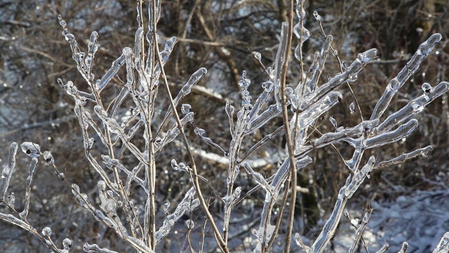 冰雪风暴之后视频素材