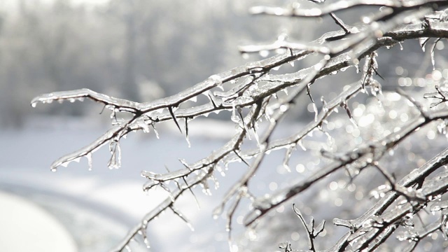 冰雪风暴之后视频素材