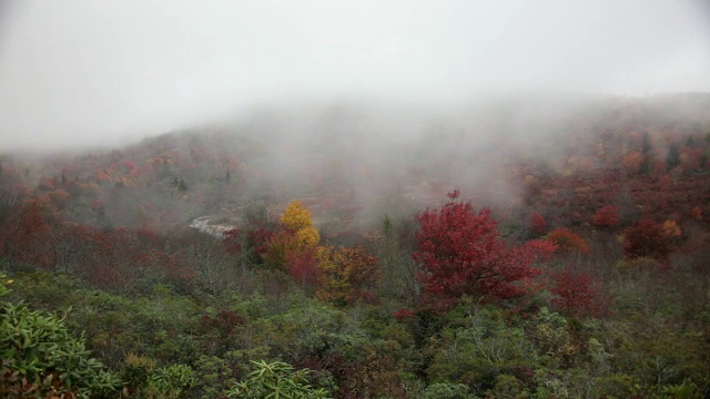 阿巴拉契亚山脉的山雾视频素材