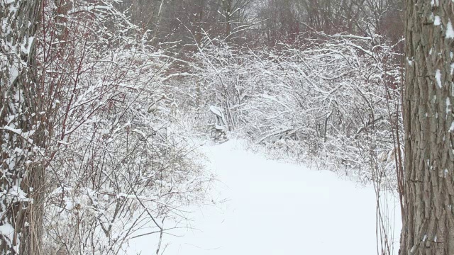 白雪覆盖的路径视频素材