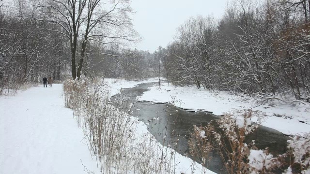 冬季降雪视频素材