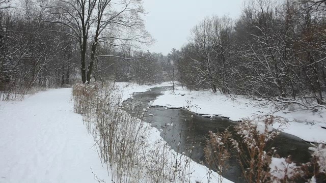 冬季降雪视频素材