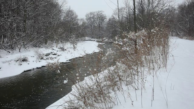 冬季降雪视频素材