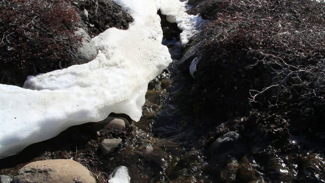 “雪融化,格陵兰岛”视频素材