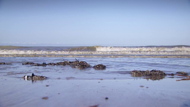 海浪滚上沙滩的低角度拍摄。法国。视频素材