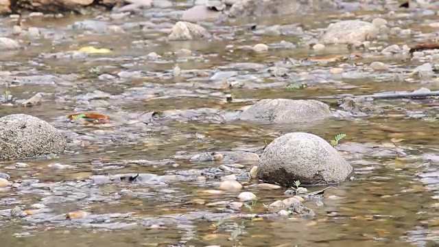 小河从岩石上流过视频素材