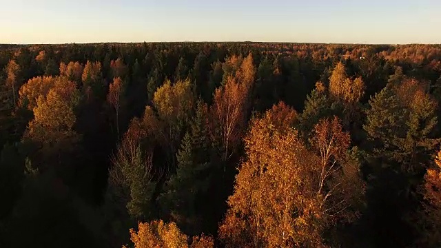 鸟瞰图的中央公园秋天-赫尔辛基，芬兰。视频素材