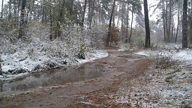 森林里的第一场雪。路上的水坑。视频素材