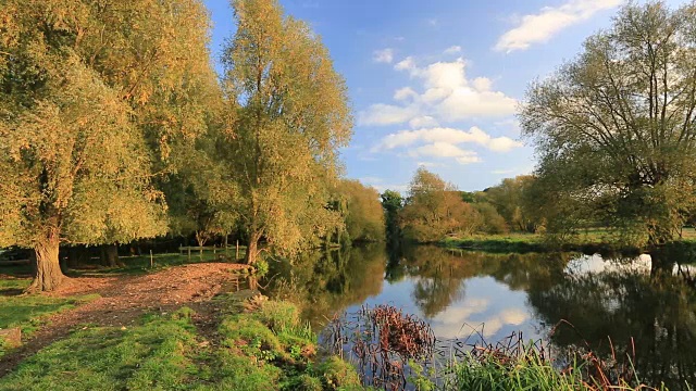 秋天的颜色，河内，费里草地公园，彼得伯勒，英格兰，英国视频素材