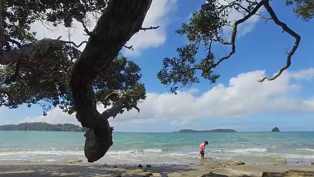 在水里玩耍的孩子。视频下载