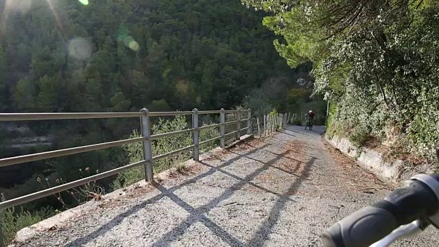 骑山地车的人在松树下踩上陡峭的森林道路视频素材