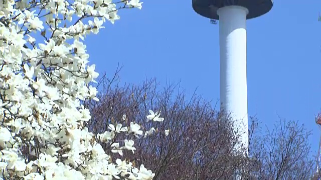 汉城著名地标北汉城塔春景视频素材