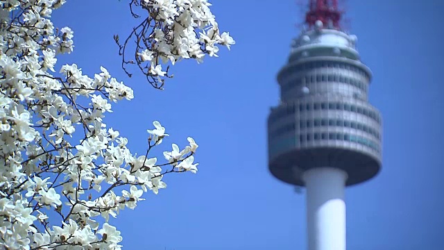 汉城著名地标北汉城塔春景视频素材