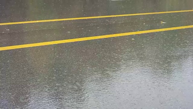 路和雨视频下载