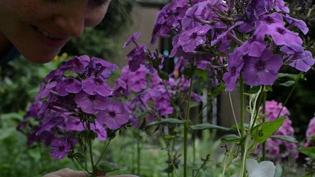 女人种花视频素材