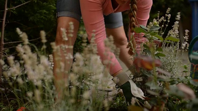 女人在花园里种植视频素材