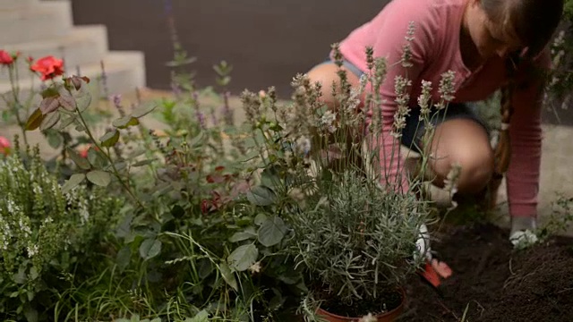 女人在花园里种植视频素材