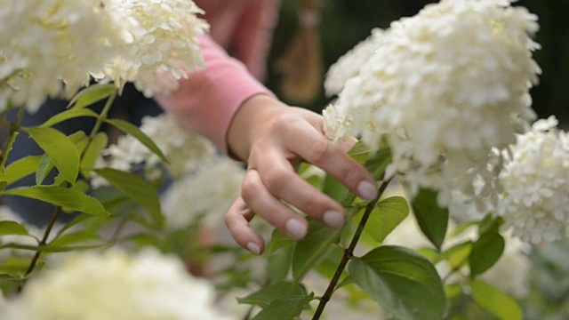 女人在花园里种植视频素材