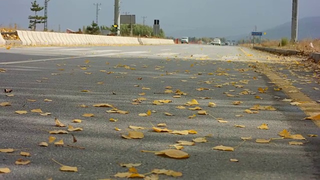 秋天和道路视频素材