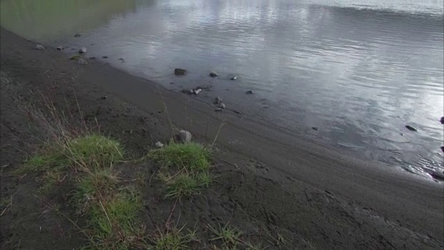 宽摇摄的湖，泥泞的河岸和山的背景视频素材